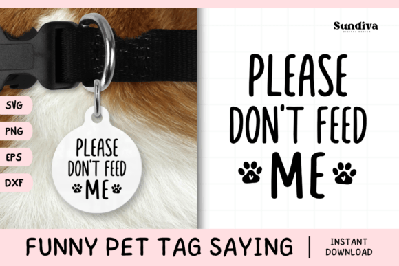 Funny Pet Tag Saying SVG 4: A Designer’s Honest Take