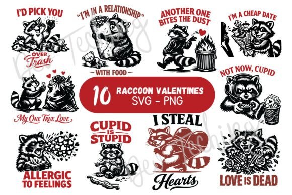 Funny Raccoon Valentines SVG PNG Review for Embroidery Makers